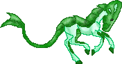DHR Crystal Ebony--Terrapin Mare--Wild Stock