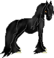 DHR Quoth The Raven--Friesian Mare--Wild Stock