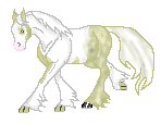 DHR Rare Trinkets--Vanner mare. From DHR Rare Irish Gold, by DHR My Irish Bo.