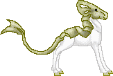 DHR White Gold--Terrapin Mare--Wild Stock