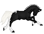 PPF Fluid Motions--Sport Horse Stallion