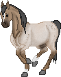 SID Brumby King--Australlion Brumby Stallion