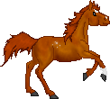 SID Catcher In The Rye--Dutch Warmblood Mare
