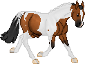 SID Clear Memory--Paint Stallion