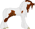 SID Gypsy Drover. A wonderful Vanner Stallion, trained as a drum horse.