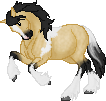 SID Gypsy Gold--Gypsy Cob mare.