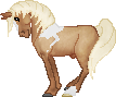 SID Island. A sweet Quater Fae Stallion with eye catching palomino tobiano markinsg and great cow sense.