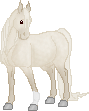 SID Ivory Coast--Lusitano Stallion