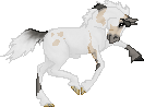 SID Joe--Vanner Stallion