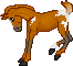 PPF Fluid Motions X LS Sunny Days-- Young filly -- FOR ADOPTION