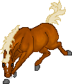 SID Ragamuffin--Cob mare
