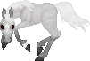 SID Star Dust-- Arabian Broodmare