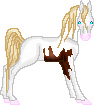 WS Golden Lover. A pretty National Show Fae mare. Her sweet personality and pretty markings should be passed down to her foals.