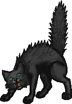 [Kath's cat]