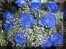 azul.jpg (71610 bytes)