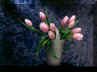 tulipas.jpg (50812 bytes)