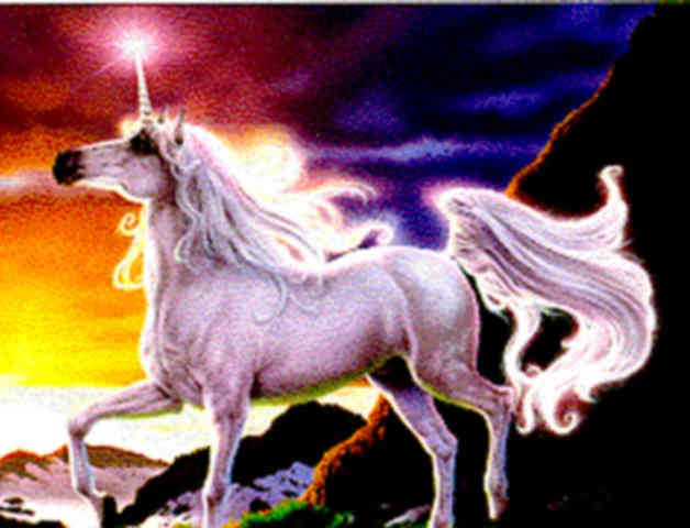 WHITUNICORN