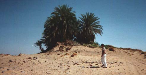 'Magic Spring'