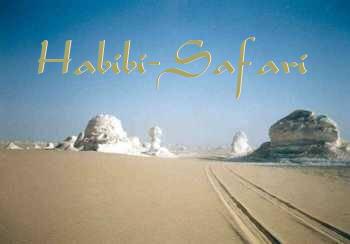 De 'White Desert'. (bron: Habibi safari)