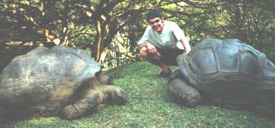 Landschildpadden van de Seychellen.