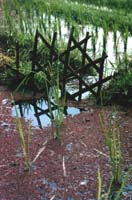 Afwateringshekje op de rijstvelden.