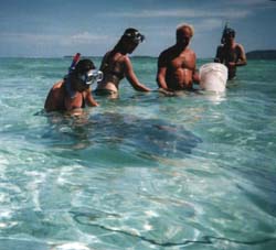 Kathleen voedert de roggen in de lagoon van Bora Bora.