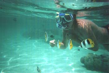 Snorkelen in de Coral Garden.