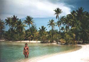Een perfekt palmstrand.
