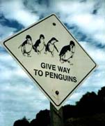 Geef voorrang aan de pinguins!