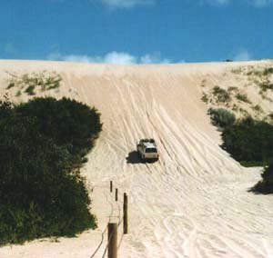 Deze duin was te hoog voor onze jeep.