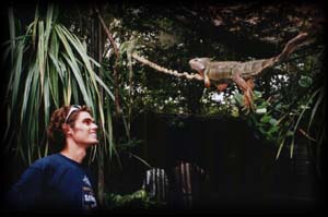 Pascal in 'close encounters' met een leguaan.