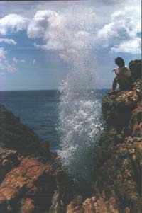 Het blow-hole.