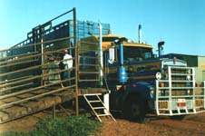 De koe-road-train.