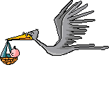 The Stork