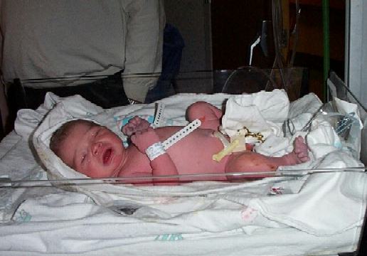 So it begins