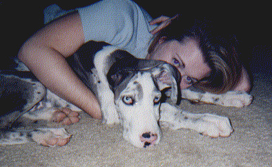 Kathleens dog Buzzzz