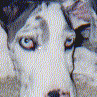 Click to see complete photo