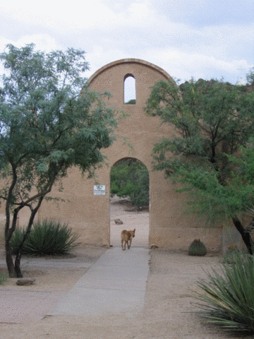 San Xavier Gate