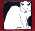 White Cat, by M.C. Escher