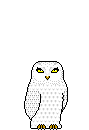 Whoooo!