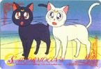 Luna and friend from the cartoon series, 'Sailor Moon'!