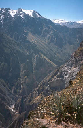 07_23ariqcolca