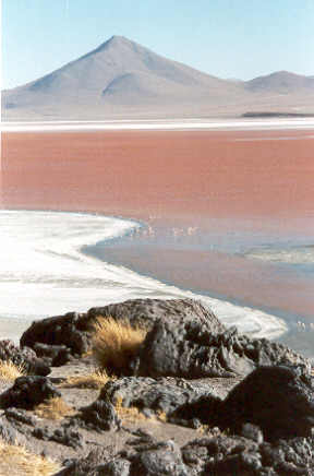 10_10salarred