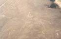 06_03nasca