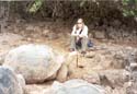 08_08galapturtle