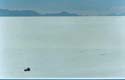 10_07salarsmall