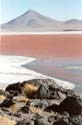 10_10salarred