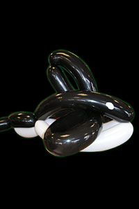 orca