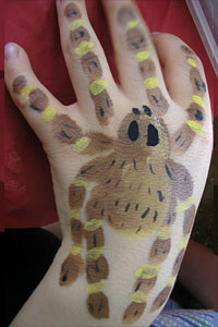 spider hand