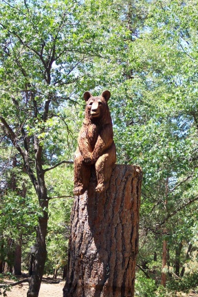 Mollie the bear